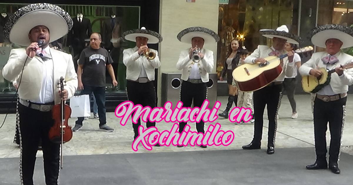 Mariachi en Álvaro Obregón